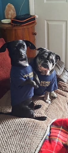 Jasper & Indy